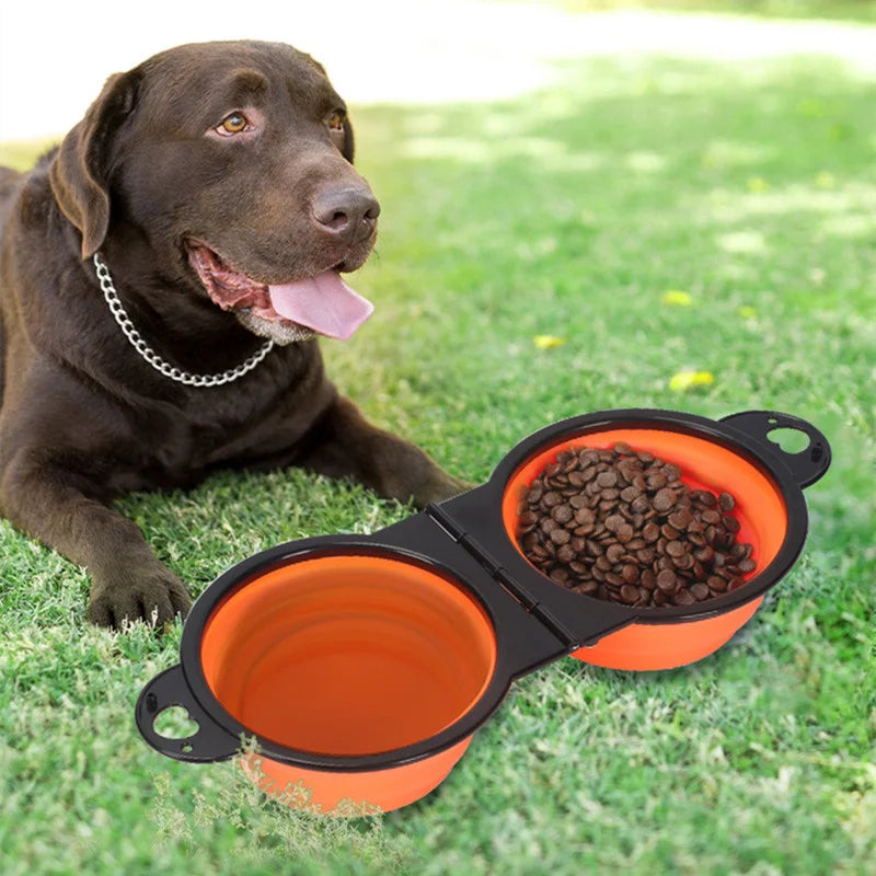 2 em 1 para cães, prato portátil de viagem para água e comida