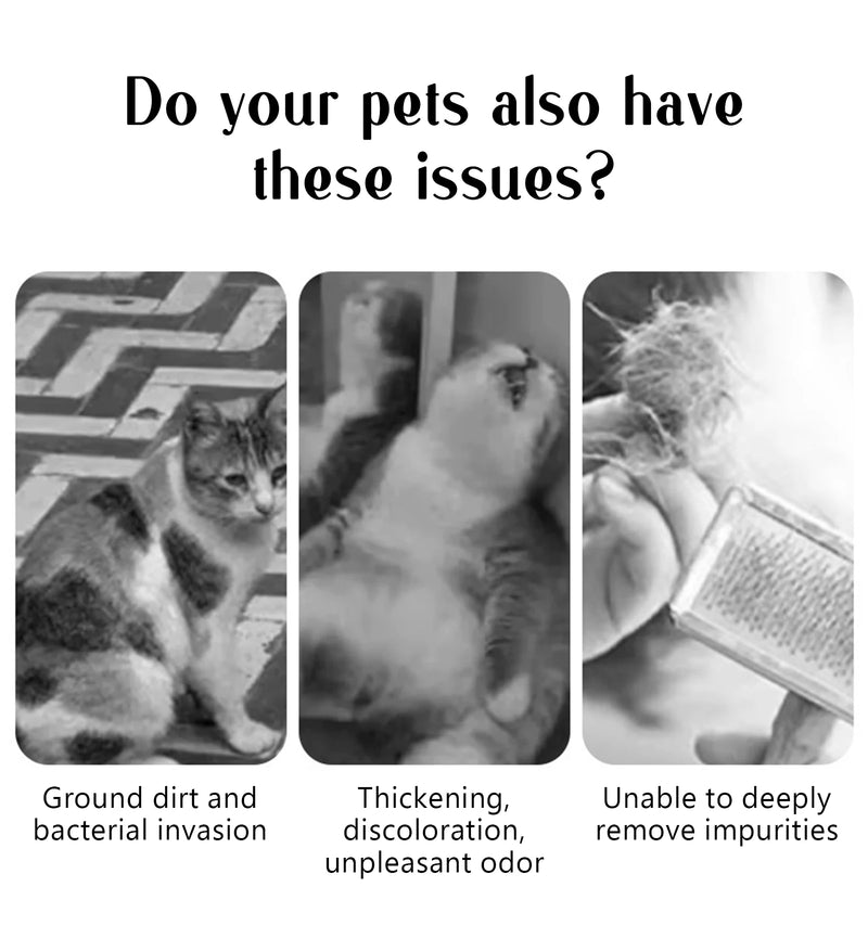 Peine de vapor para perros, cepillo de masaje para mascotas, carga USB, cabeza redonda segura, pulverizador de dientes suaves, peine de depilación Universal para gatos y perros